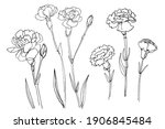 Flowers Vector Line Drawing....