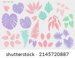 tropical leaves chewing gum... | Shutterstock .eps vector #2145720887