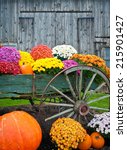 Colorful Fall Flowers And...