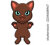 Cute Havana Brown Cat Cartoon