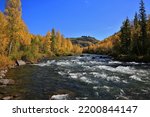 autumn yellow forest rapids river Mansky threshold