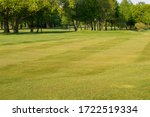 Small photo of Golf course green fairway with undulation and trees