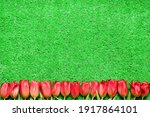 Banner With Red Fresh Tulip...