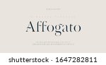 elegant alphabet letters font... | Shutterstock .eps vector #1647282811