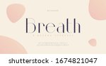 elegant alphabet letters font... | Shutterstock .eps vector #1674821047
