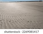 Small photo of Sand ridges on beach. Ripples, commonly known as sand waves, are undulatory structures produced by a current (water or wind) on the surface of a sandy sediment. Cumberland Island National Seashore .