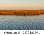 Small photo of Golden hour on St Marys River, Georgia. Sea grass on salt marsh (saltmarsh, salting, coastal salt marsh, tidal marsh) is a coastal ecosystem in the upper coastal intertidal zone between land and sea.