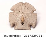 Small photo of an ancient Indian amulet. talismans and rituals.ossified deposits and minerals.minerals.a paleontological artifact.museum sample.historical fragment of a starfish.the process of evolution.