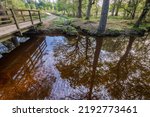 A wooden bridge in the New Forest Hampshire Uk with over hanging trees and distant parts disappearing into the distance lit with morning summer sunshine 