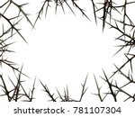 natural frame from sharp thorns isolated on white background. free space for text
