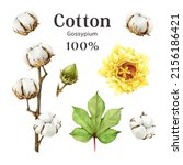 Cotton Plant Set. Watercolor...