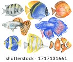 Set Of Colorful Aquarium Fish....