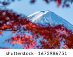Small photo of Mount Fuji betide colorful maple leaves autumn season on nature background