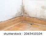 Small photo of dust in the corner of the room. real old neglected dusty dirt, dirty toxic mold and fungus bacteria on the white wall, skirting board and wooden floor in the home in the apartment close up