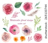 Watercolor Herbs  Ranunculus ...