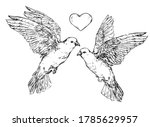 Two Doves With Heart   Vector...