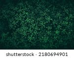 Close up tropical Green leaves texture and abstract background., Nature concept., dark tone.