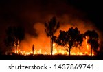 Bush fire in australian outback