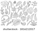 set of decorative leaves and... | Shutterstock .eps vector #1816212017