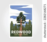 Redwoods National Park In...