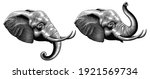 elephant head. art detailed... | Shutterstock .eps vector #1921569734