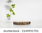 Round wooden cylinder shape display with plant leaf and shadows. Minimal geometric podium for eco cosmetics product presentation