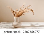 Stylish ceramic vase on the table with pampas or reed dry grass bouquet with warm shadows, light brown wall background. Scandinavian vase on the table with copy space, minimal aesthetic style