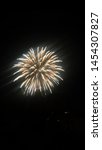 Small photo of People enjoying a fireworks display on July 4th in Willamina, Or.