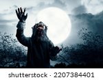A Werewolf With A Full Moon And ...