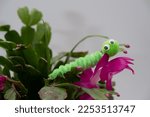 Small photo of googly eyed pipe cleaner wriggly caterpiller funny hand made character on a flowering cactus
