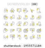 gastroenterology. collection of ... | Shutterstock .eps vector #1955571184