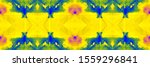 mustard coral rough tie dye... | Shutterstock . vector #1559296841