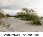 Sand Dunes And Sea Oats On The...
