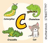 Cute Animals Alphabet Letter C...