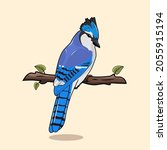 Blue Jay Bird illustrations cartoon realistic vector 
