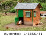 Henhouse as a small house or...