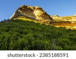 Imposing golden Sandstone cliff with a small arch, rising above the afroalpine heather and fynbos in the Drakensberg Mountains in the Golden Gate Highlands National Park of South Africa.