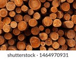 Small photo of wall of wooden spile, sawdust
