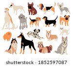 vector cartoon dog breeds. cute ... | Shutterstock .eps vector #1852597087
