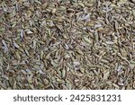 Small photo of Dried Aniseed, or Pimpinella Anisum seed, or Adas Manis, as background