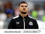 Small photo of MILAN, ITALY - SEPTEMBER 19, 2023: Bruno Guimaraes of Newcastle United looks on during the UEFA Champions League AC MILAN v NEWCASTLE United FC at San Siro Stadium.