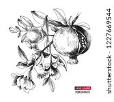 hand drawn pomegranate branch... | Shutterstock .eps vector #1227669544