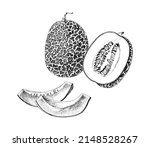 hand drawn monochrome melon... | Shutterstock .eps vector #2148528267