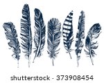 7 Hand Drawn Feathers On White...