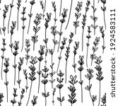 monochrome white black lavender ... | Shutterstock . vector #1924583111