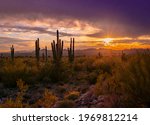 Majestic Arizona sunset with Saguaro silhouette shot from the McDowell Mountains.