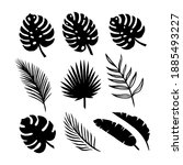 set of silhouettes of tropical... | Shutterstock .eps vector #1885493227