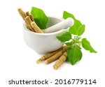 Small photo of Ashwagandha Dry Root Medicinal Herb in a Grinding Bowl with Green Leaves, also known as Withania Somnifera, Ashwagandha, Indian Ginseng, or Winter Cherry. Isolated on White Background.