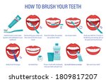 scheme of how to brush your... | Shutterstock .eps vector #1809817207
