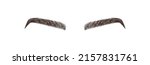 elegant female eyebrows shape.... | Shutterstock .eps vector #2157831761